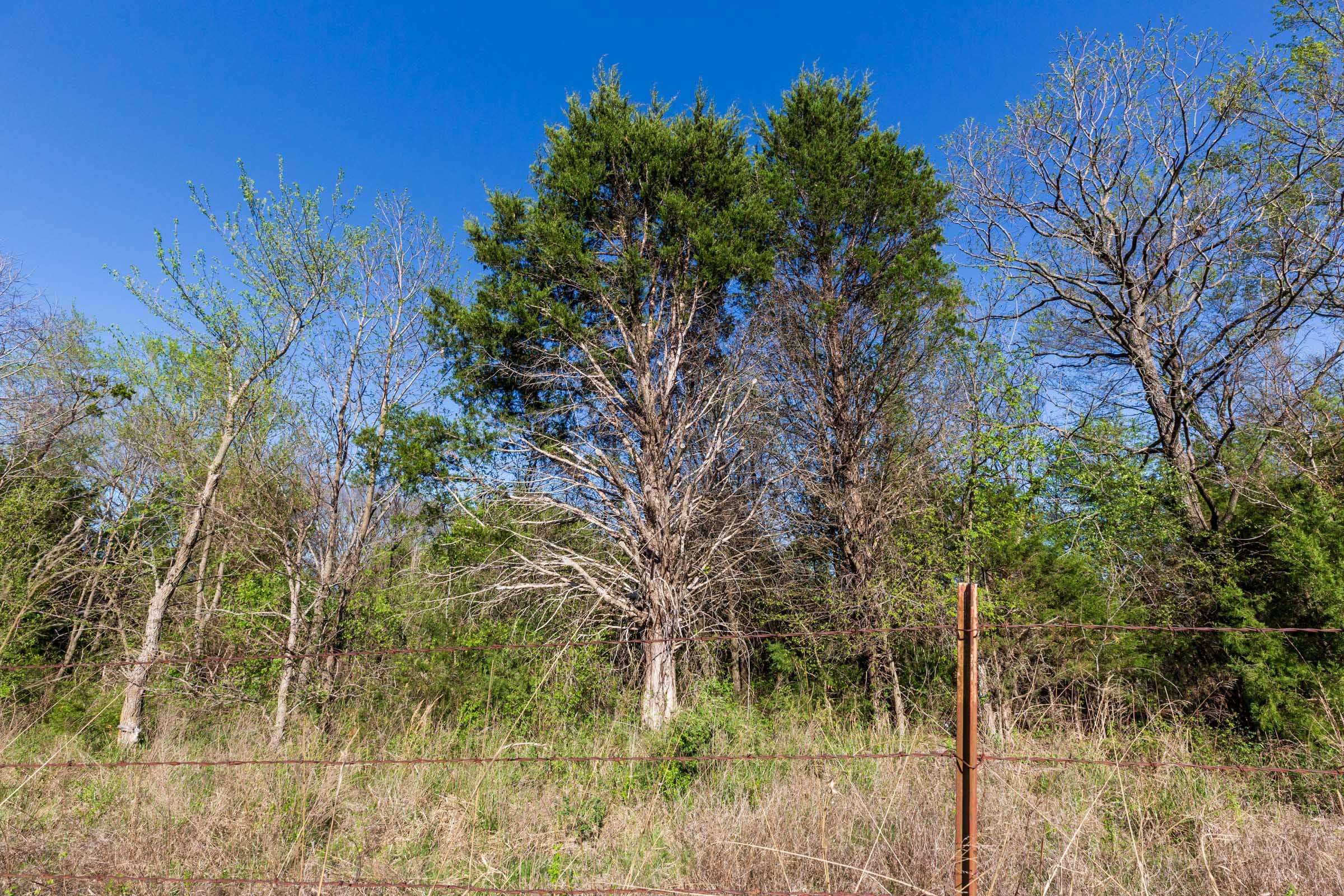 Prairie Grove Tract 1 photo 9