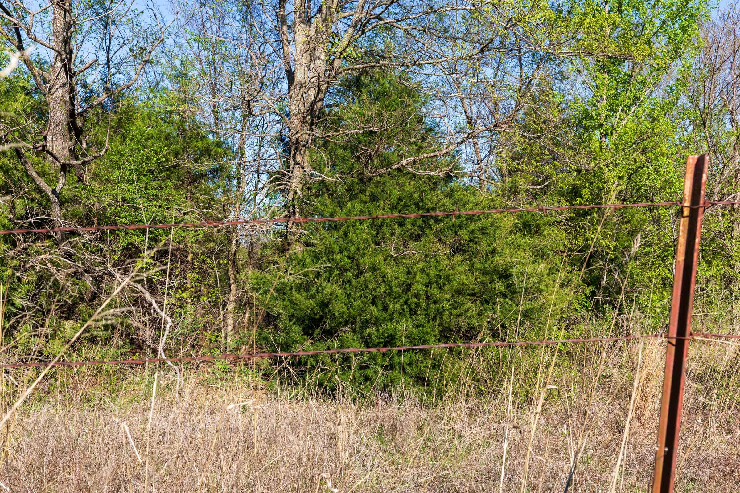 Prairie Grove Tract 1 photo 11