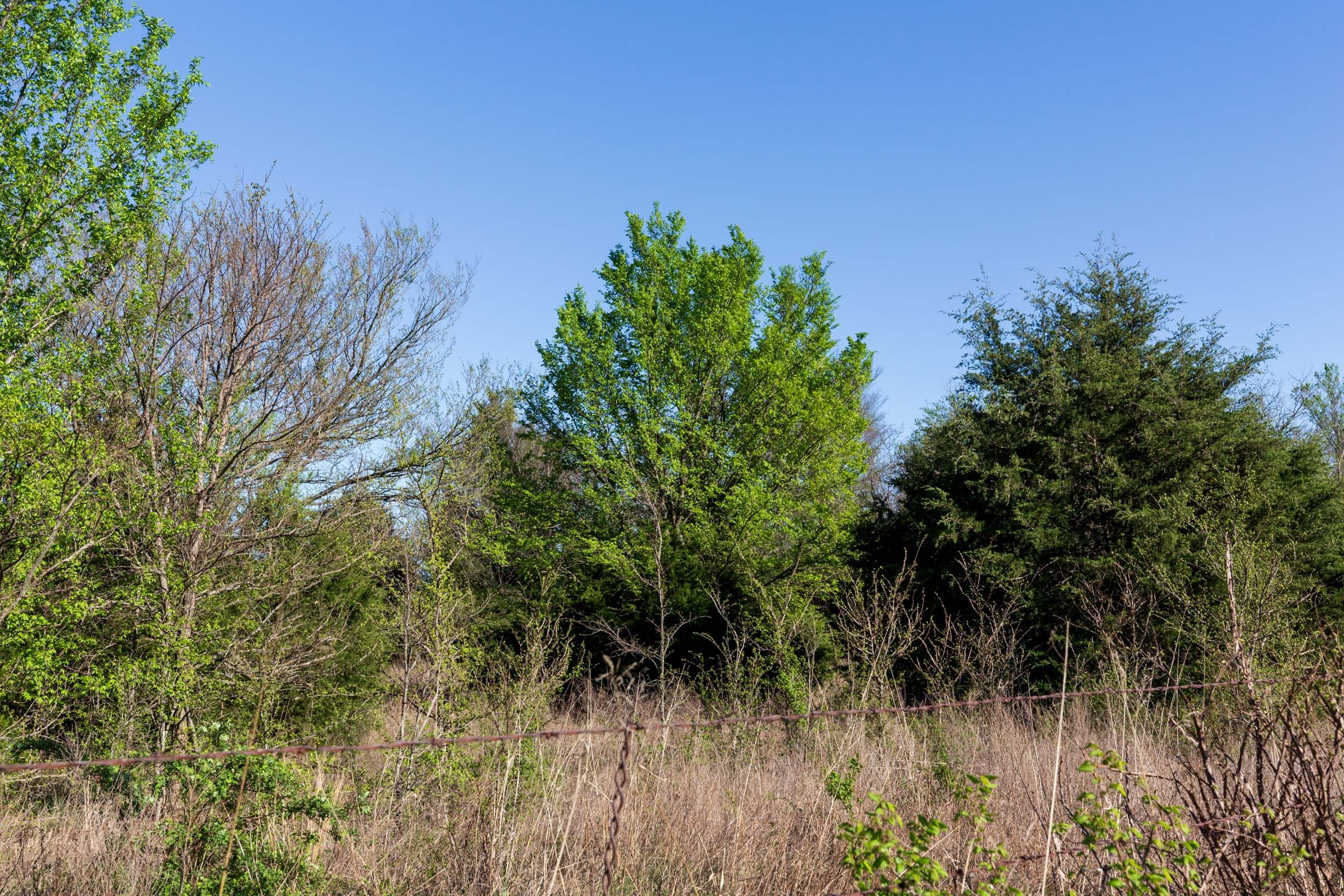 Prairie Grove Tract 1 photo 10