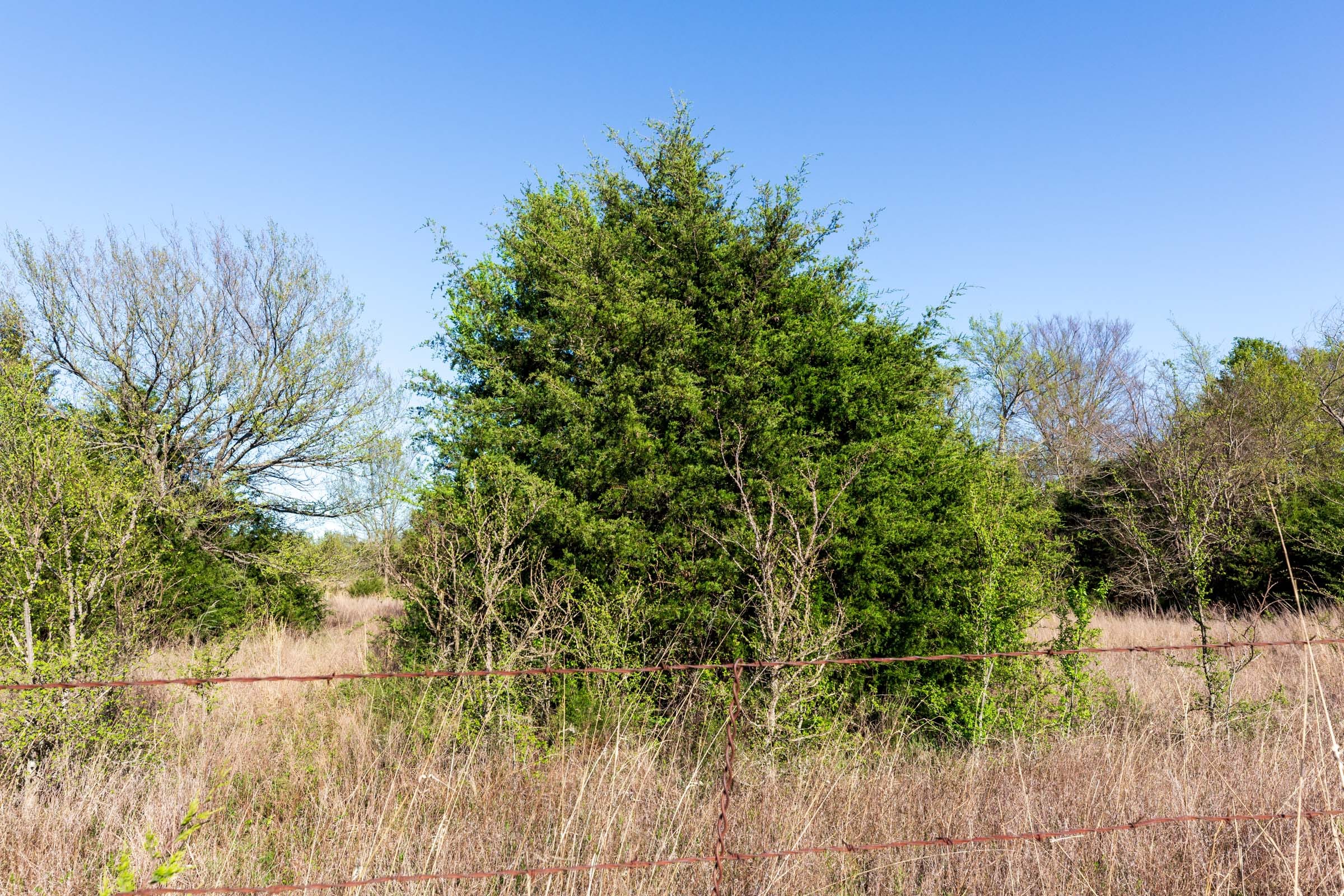 Prairie Grove Tract 1 photo 8