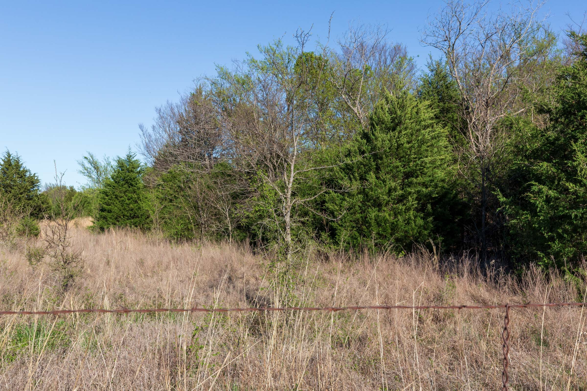 Prairie Grove Tract 1 photo 7