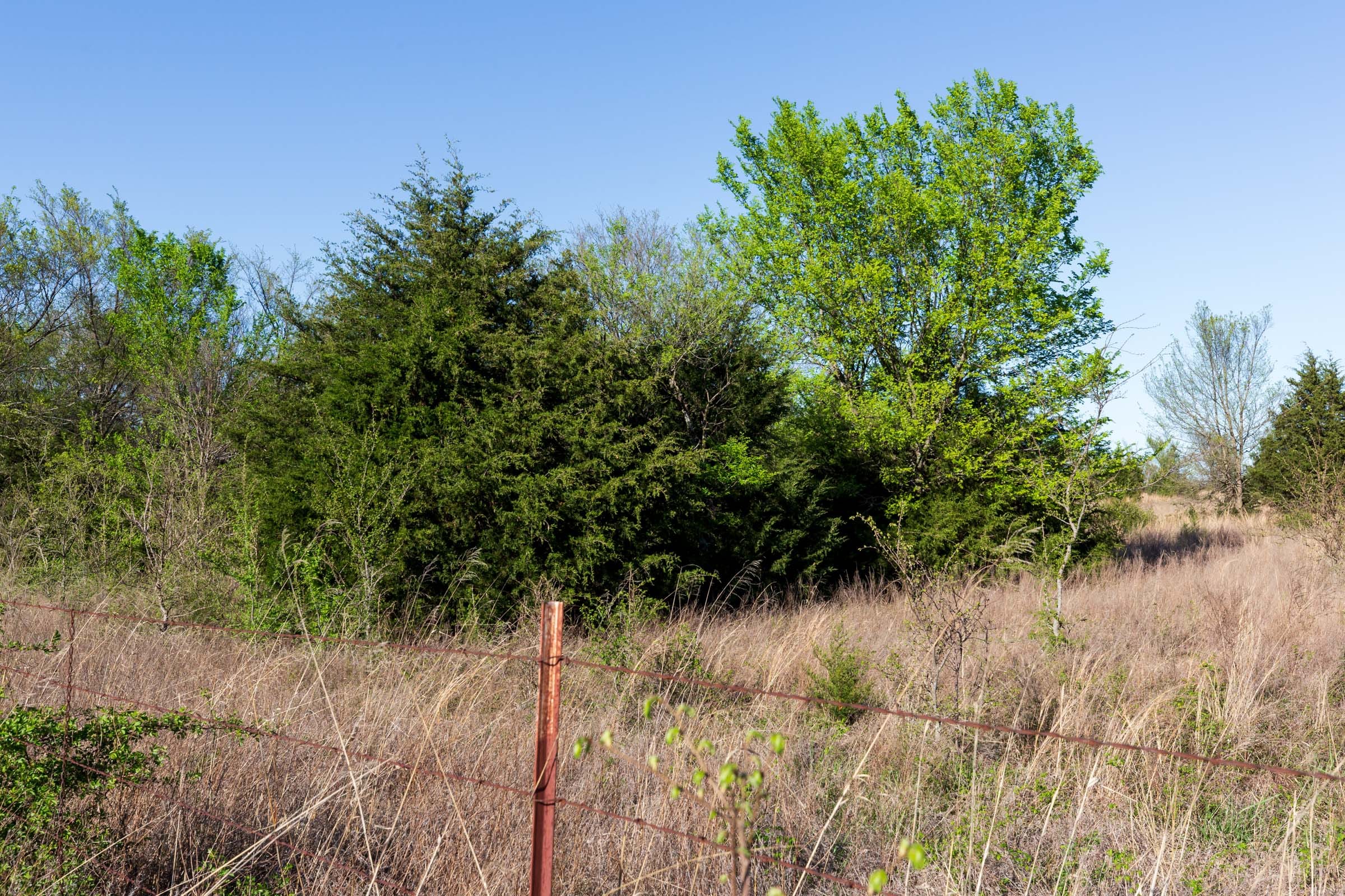 Prairie Grove Tract 1 photo 4