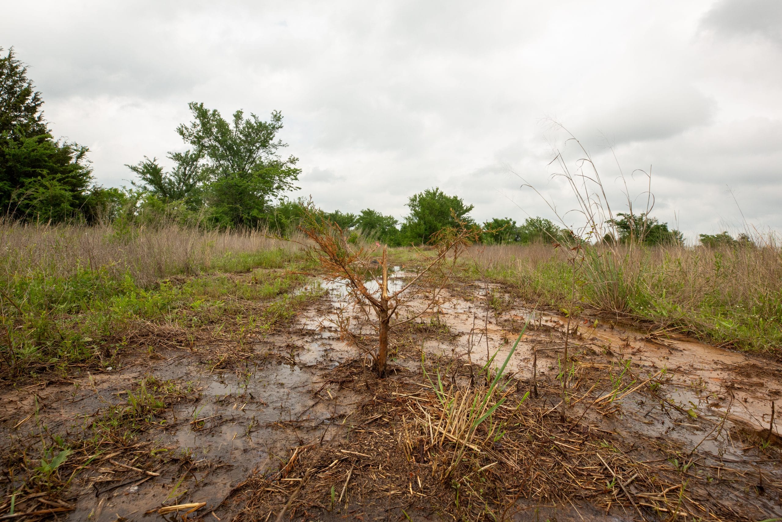 Prairie Grove Tract 1 photo 16