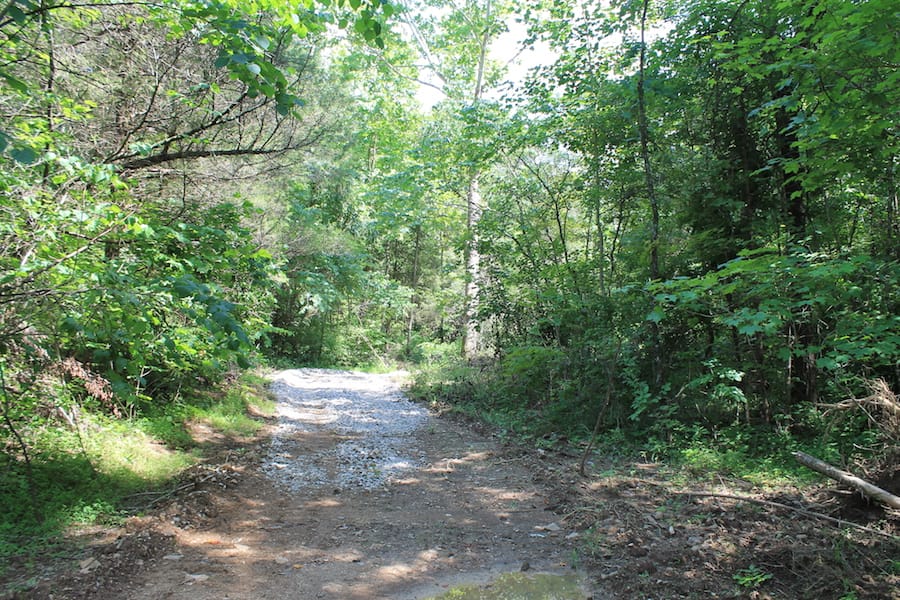 Cumberland Ridge Ranch Tract 5 photo 3