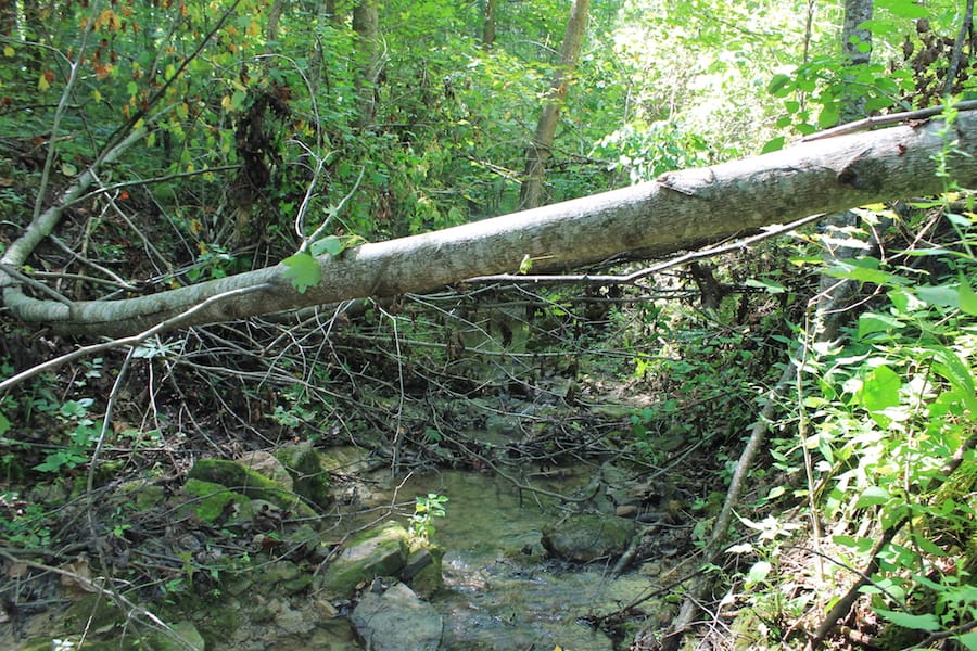 Cumberland Ridge Ranch Tract 5 photo 5
