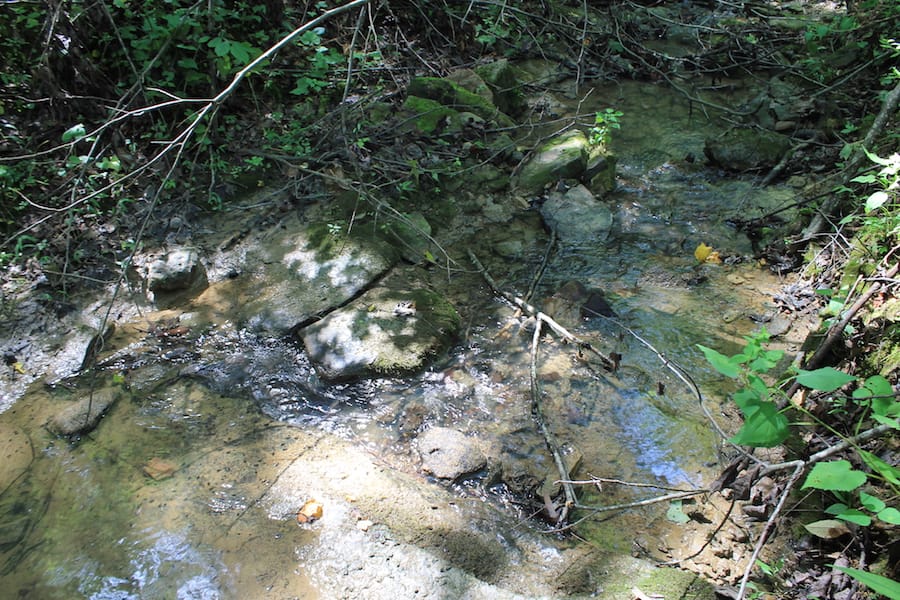 Cumberland Ridge Ranch Tract 5 photo 9
