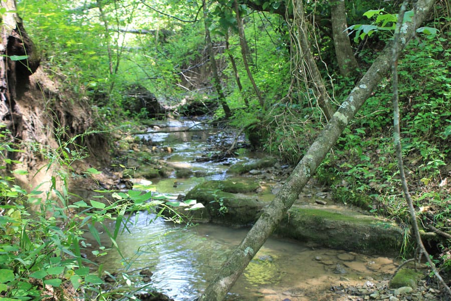 Cumberland Ridge Ranch Tract 5 photo 10