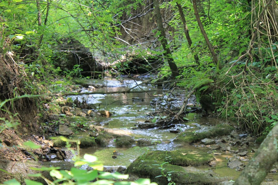 Cumberland Ridge Ranch Tract 5 photo 11