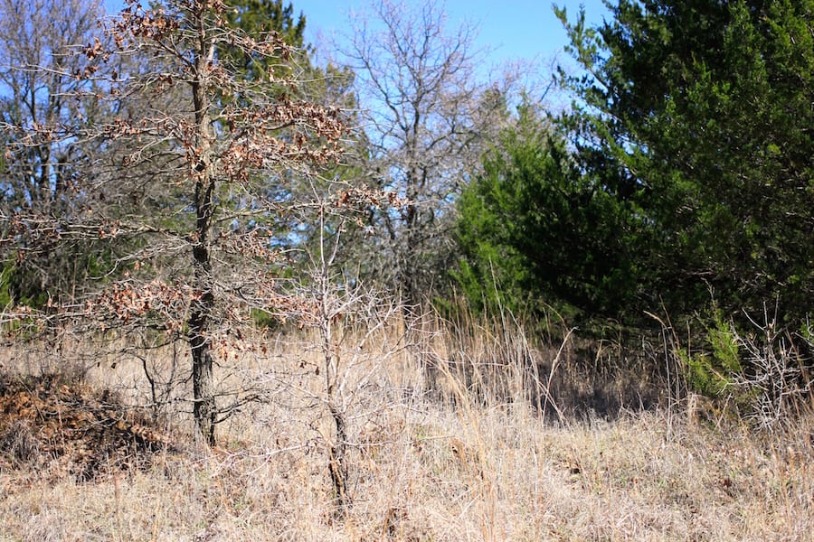 Montgomery Ranch Tract 1 photo 3