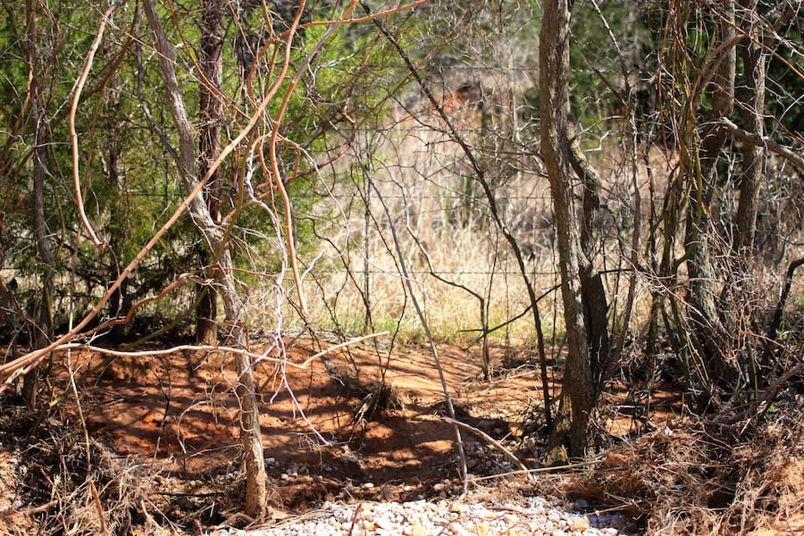 Montgomery Ranch Tract 1 photo 4