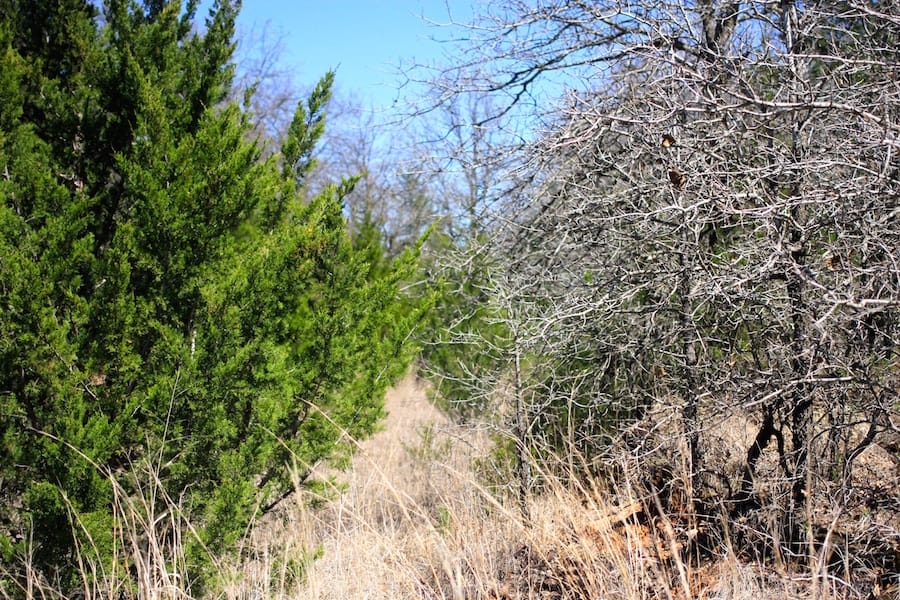 Montgomery Ranch Tract 1 photo 6