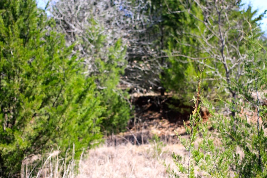 Montgomery Ranch Tract 1 photo 8