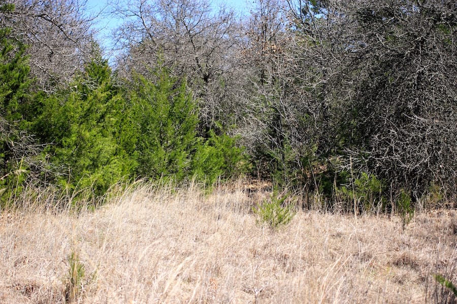 Montgomery Ranch Tract 1 photo 10