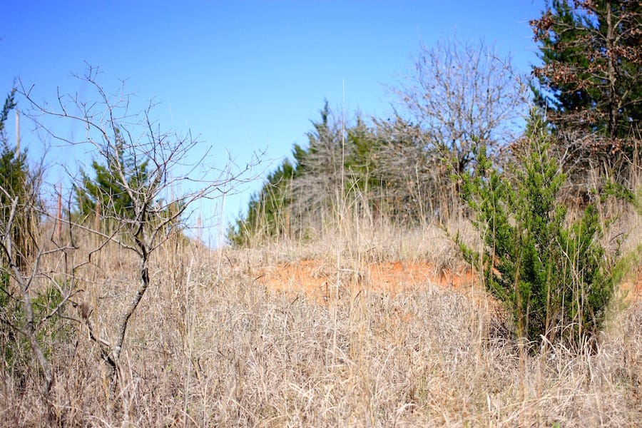 Montgomery Ranch Tract 1 photo 11