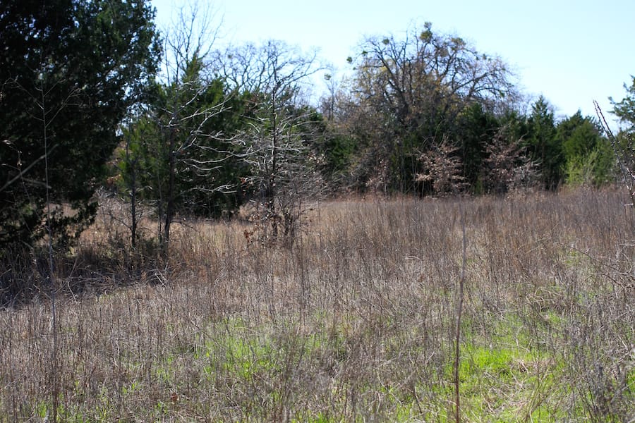 Montgomery Ranch Tract 1 photo 13