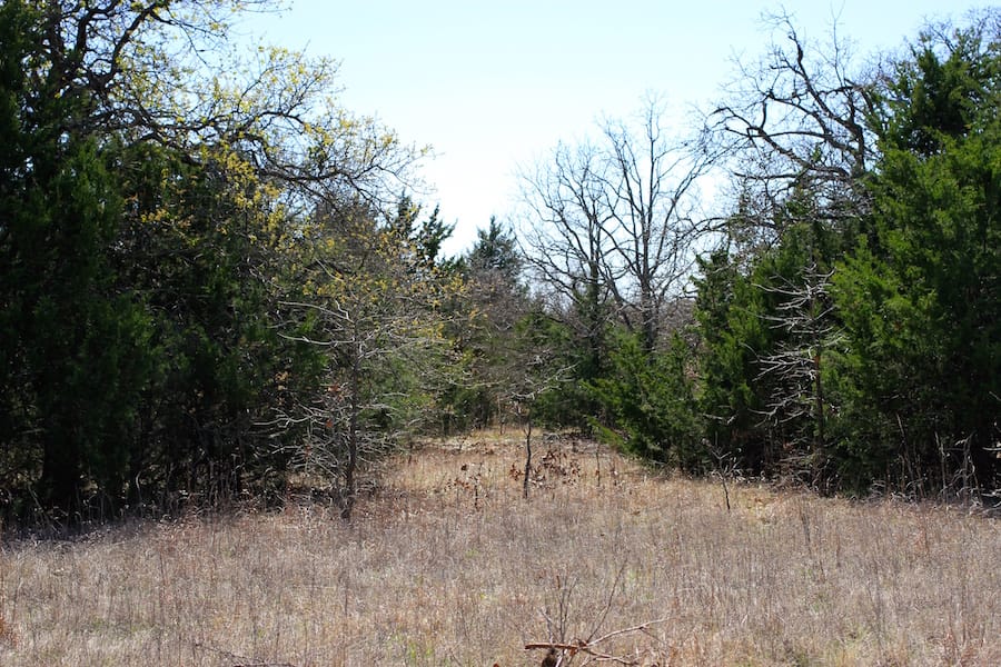 Montgomery Ranch Tract 1 photo 14