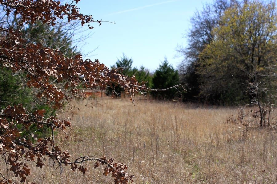 Montgomery Ranch Tract 1 photo 15