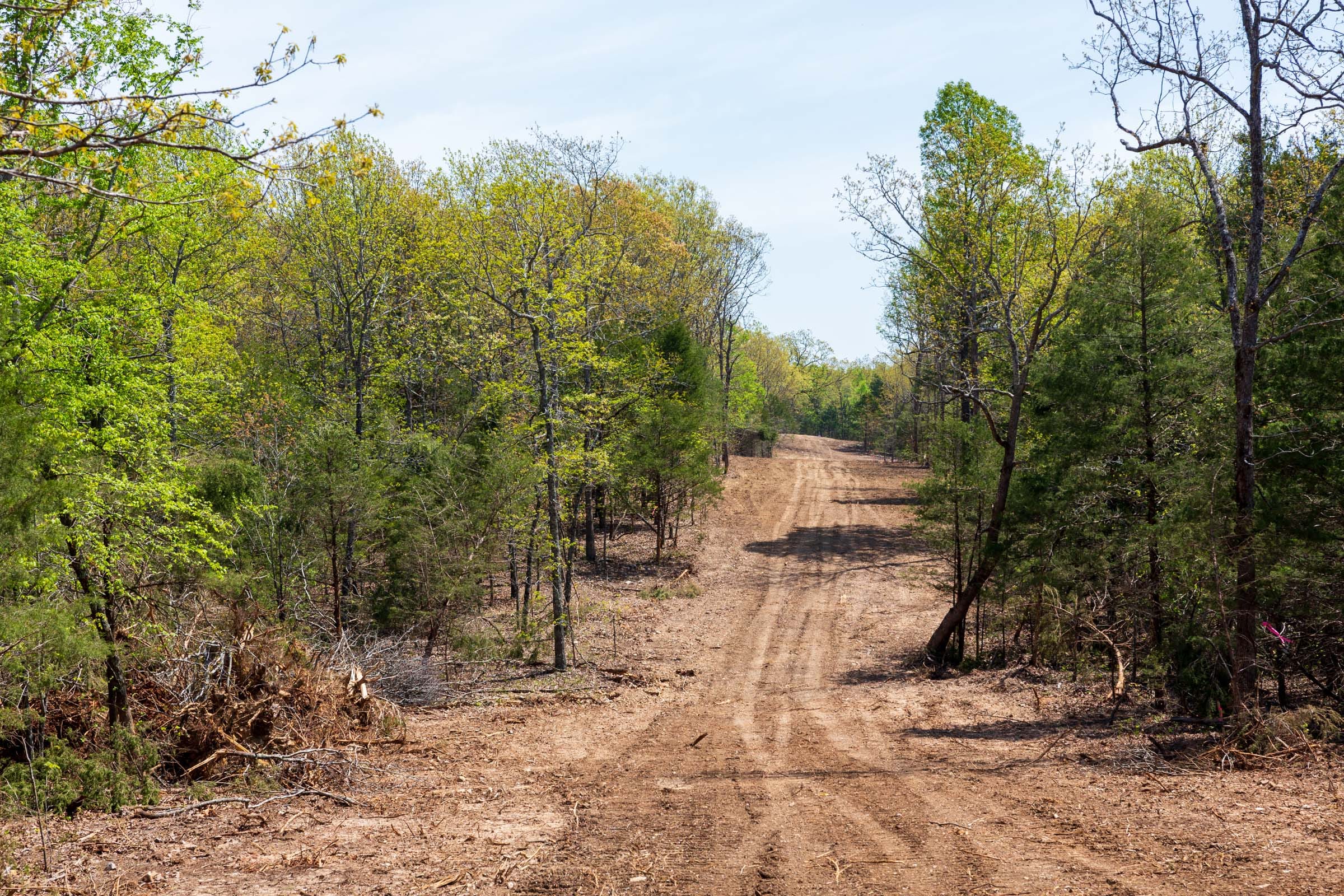 Autumnwood Tract 6 photo 1