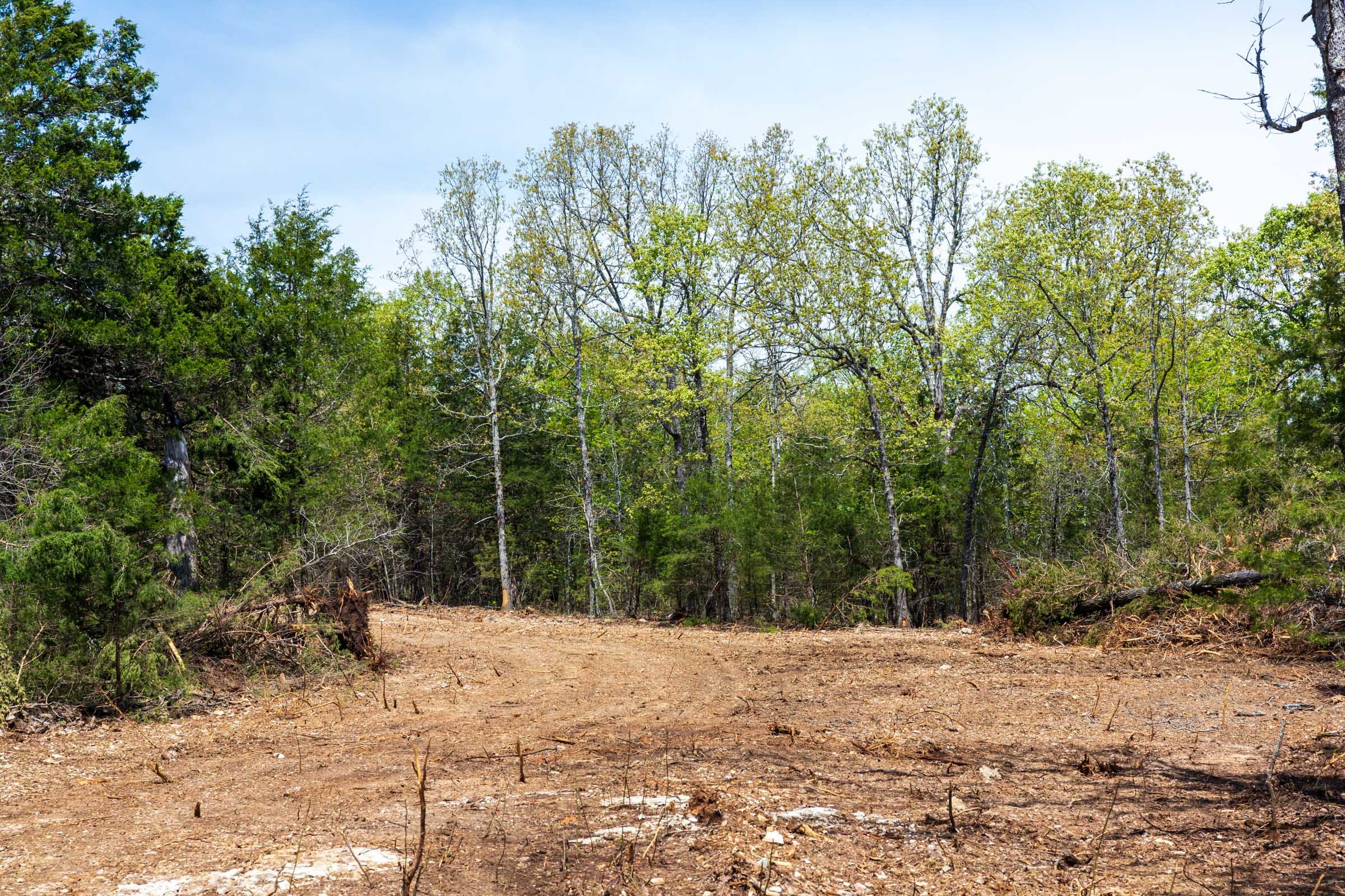 Autumnwood Tract 6 photo 8