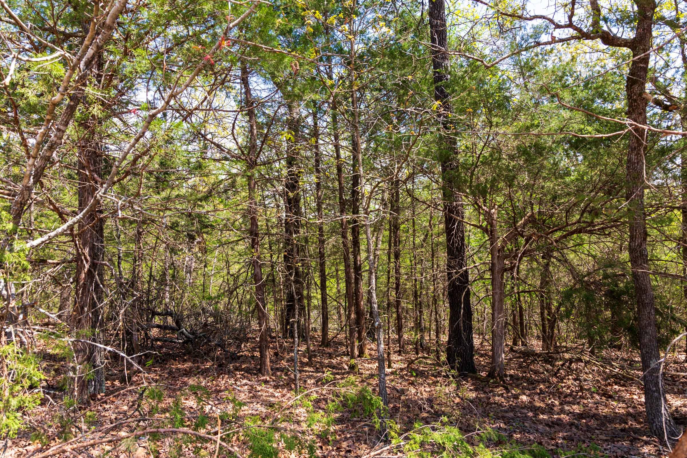 Autumnwood Tract 6 photo 15