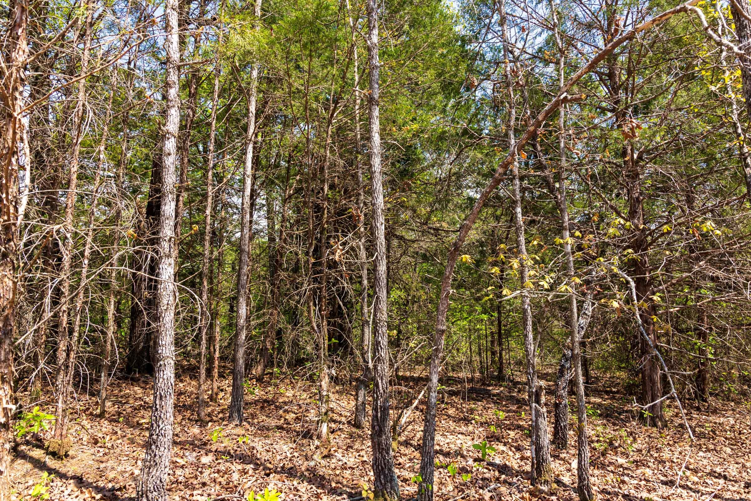 Autumnwood Tract 6 photo 19