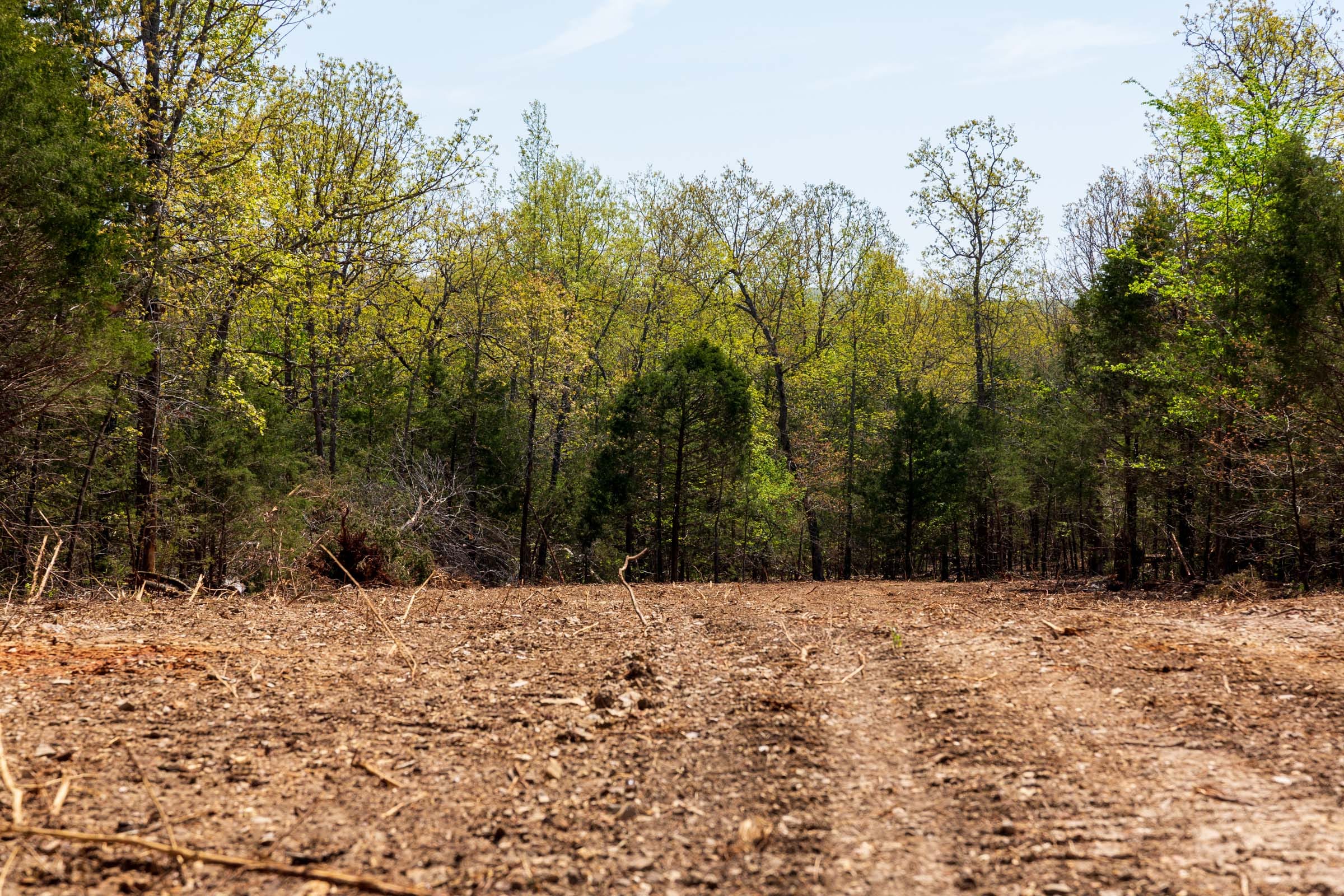 Autumnwood Tract 6 photo 24