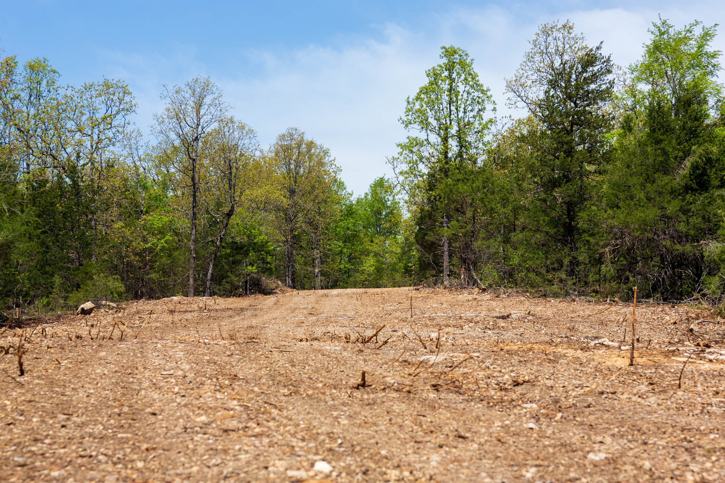 Autumnwood Tract 6 photo 16