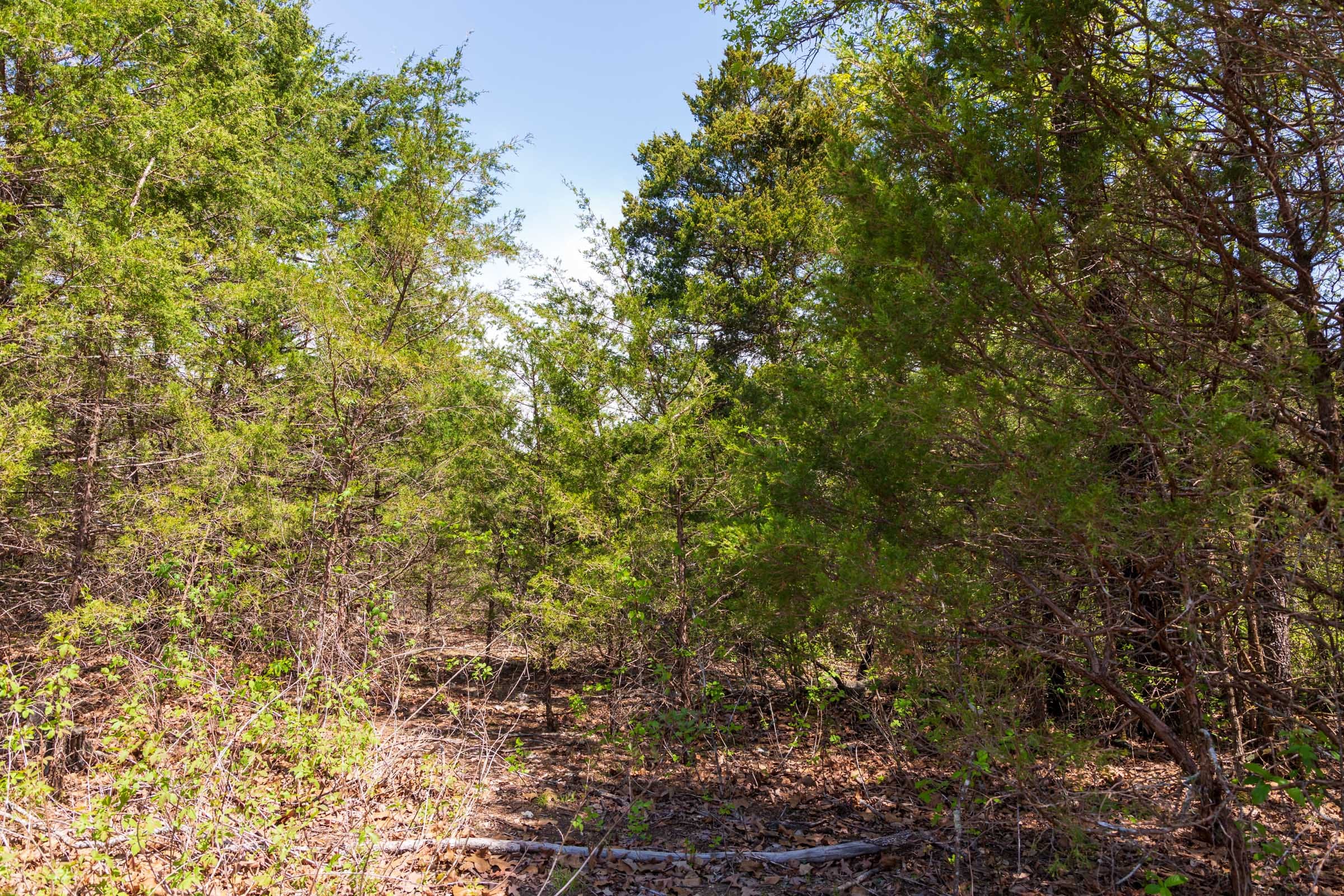 Autumnwood Tract 6 photo 20