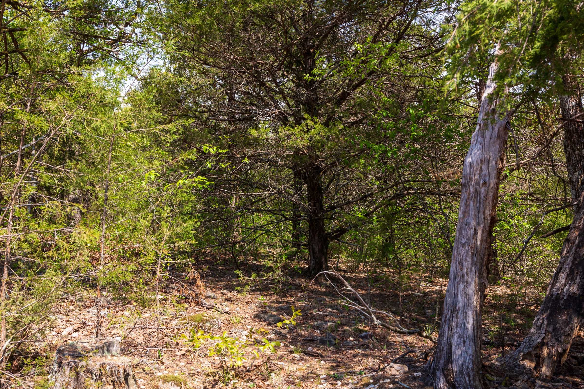 Autumnwood Tract 6 photo 21