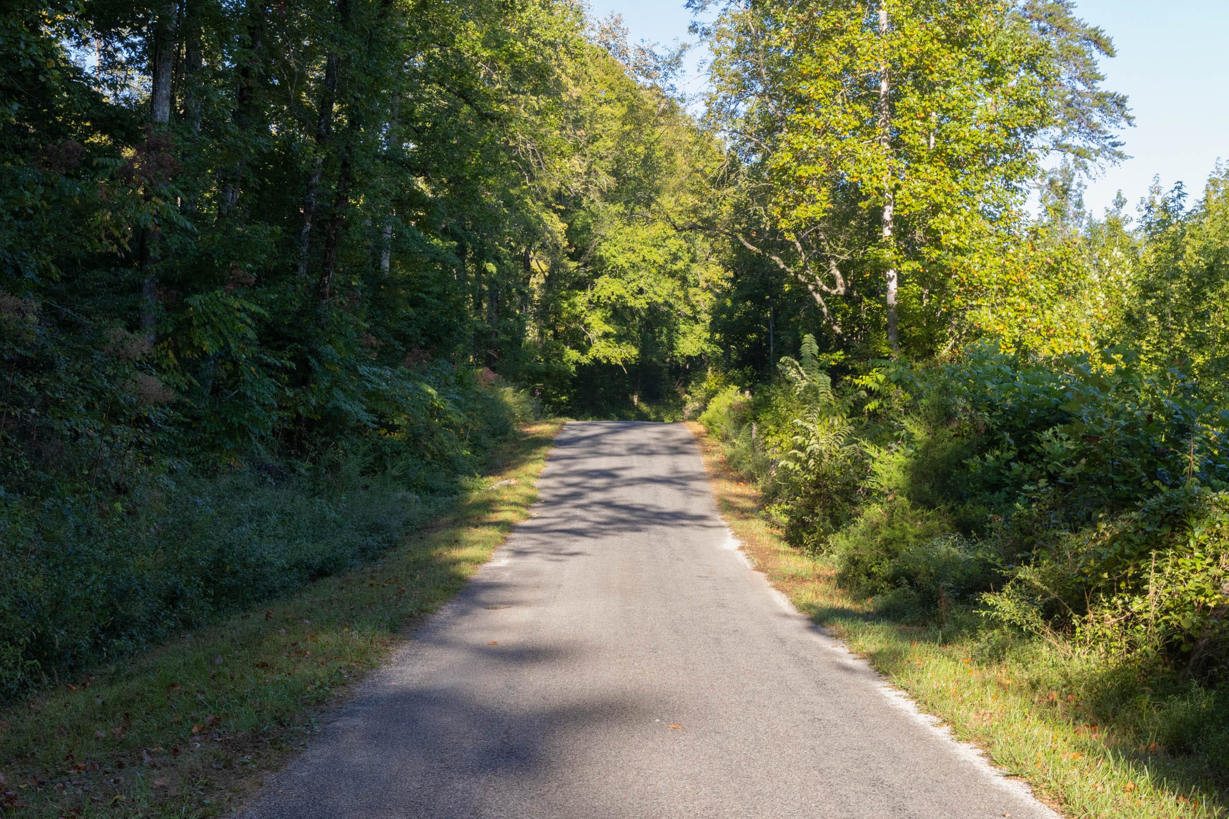 Big White Oak Tract 2 photo 1