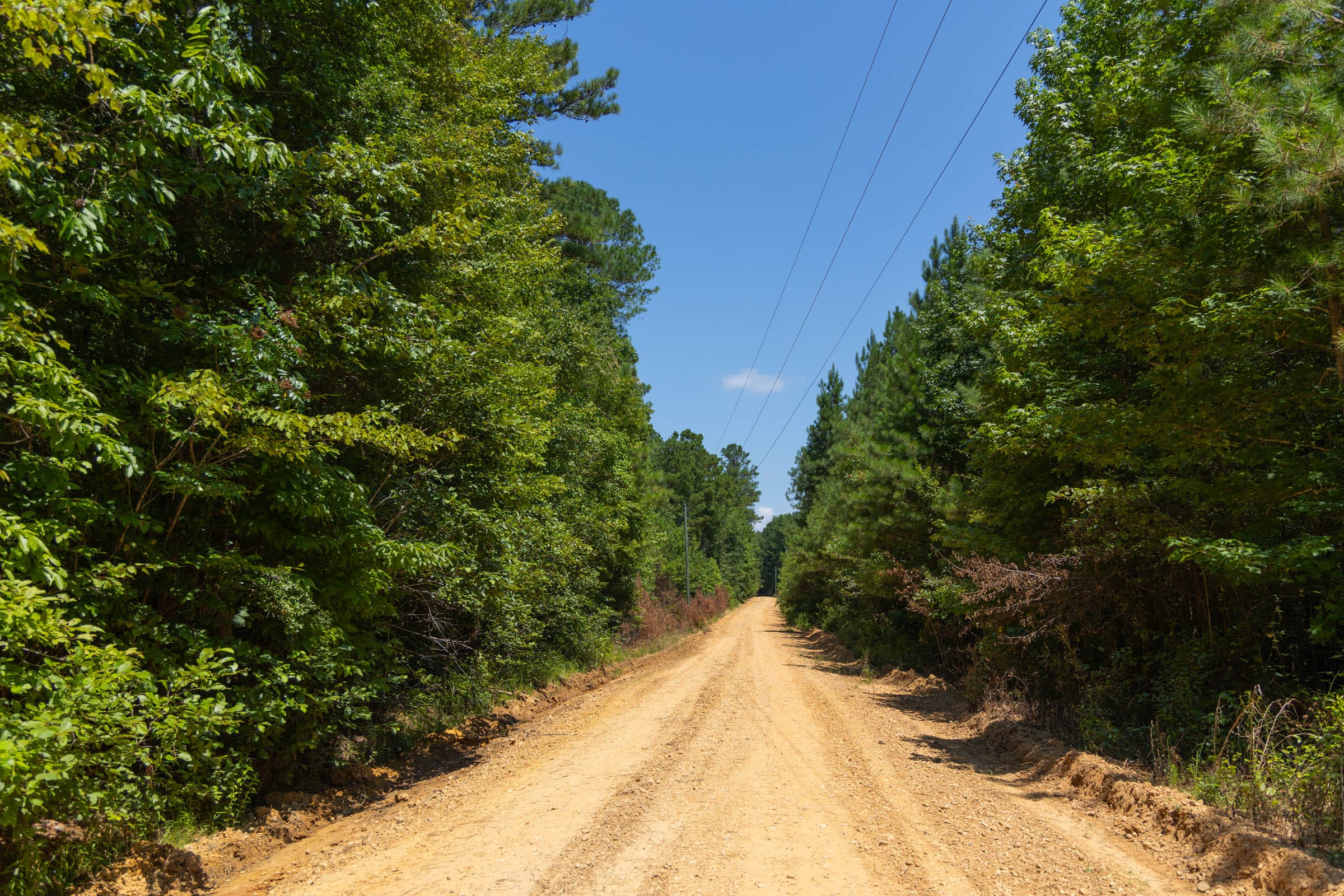 Olive Hill Tract 6 photo 12