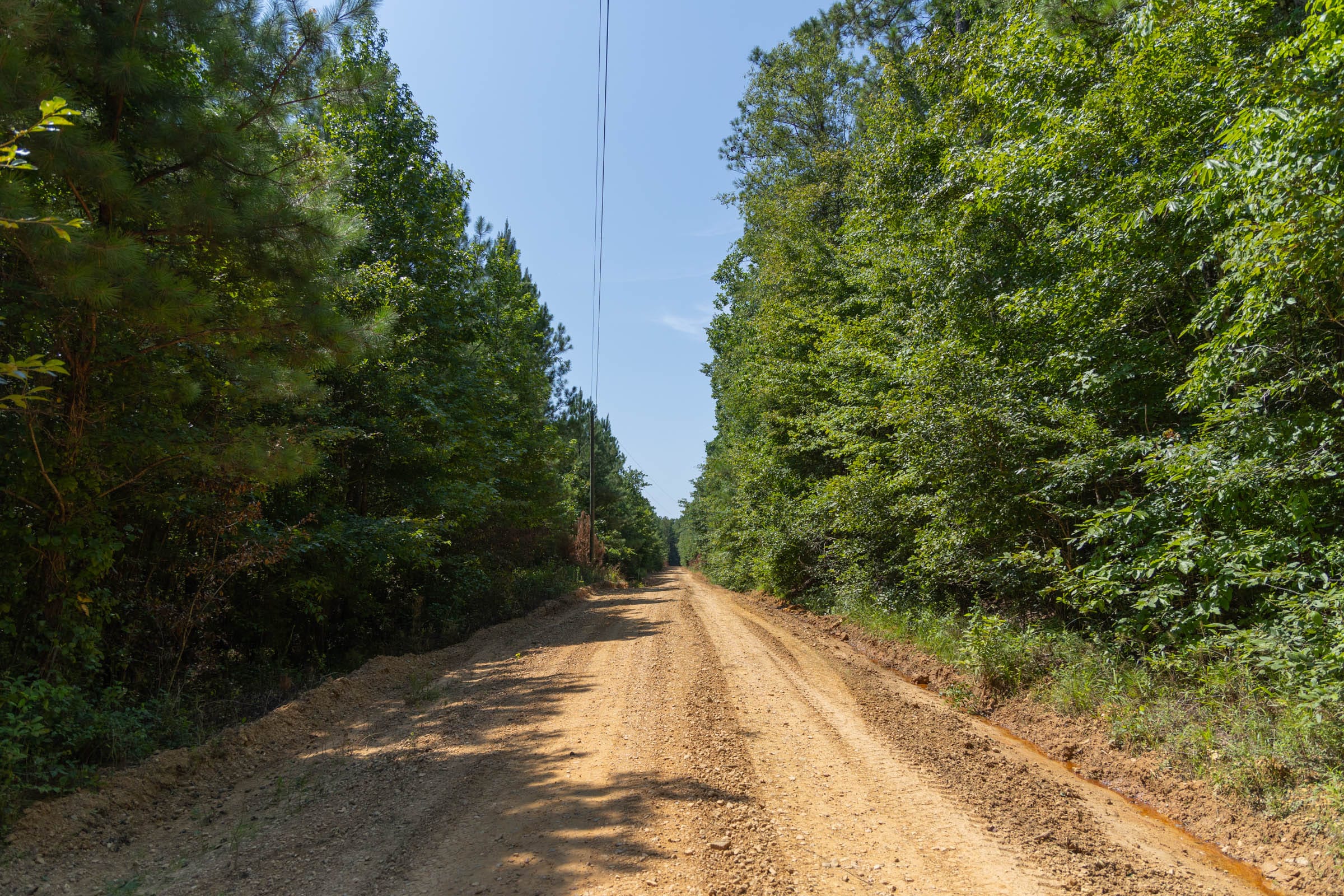 Olive Hill Tract 6 photo 8