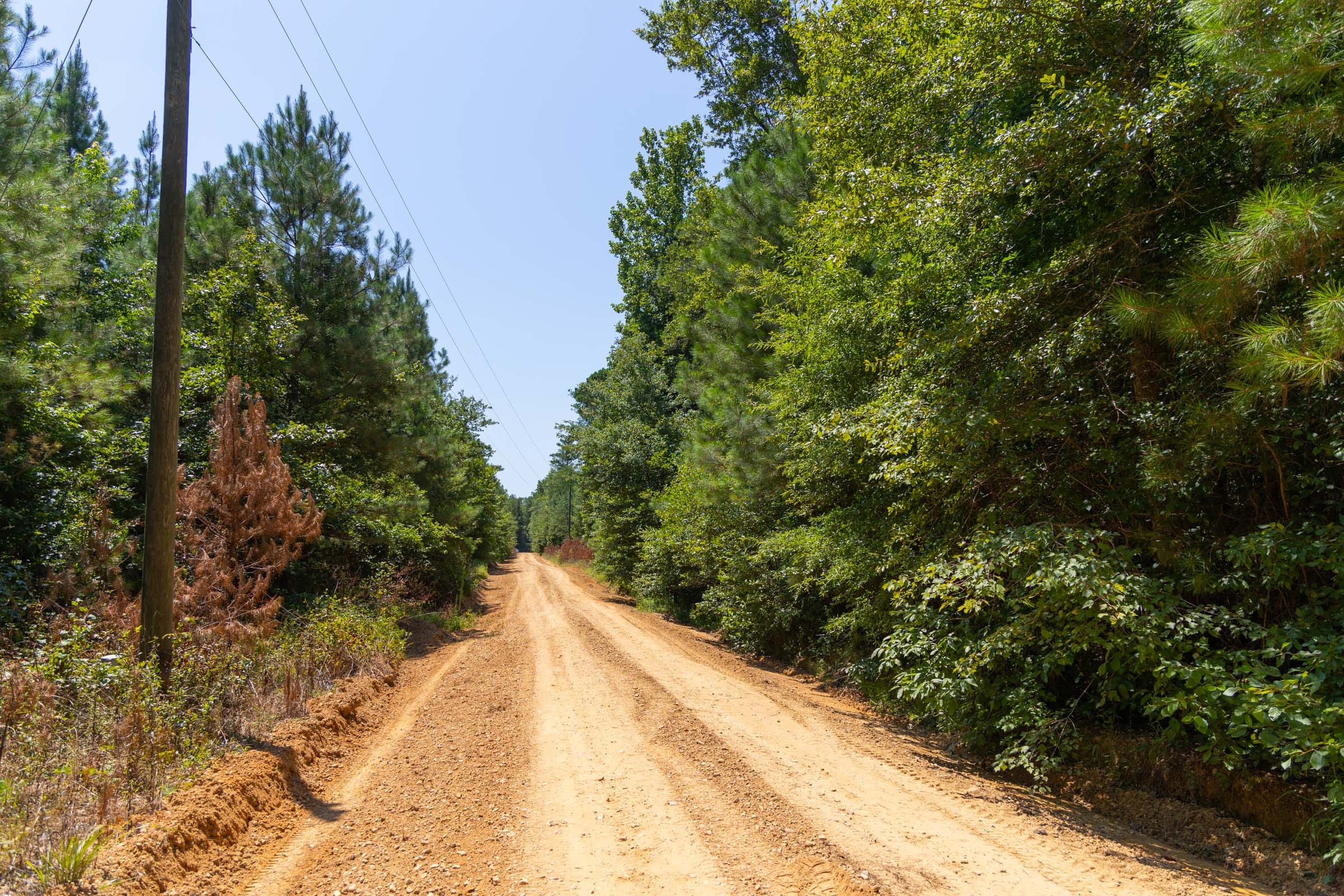 Olive Hill Tract 6 photo 4
