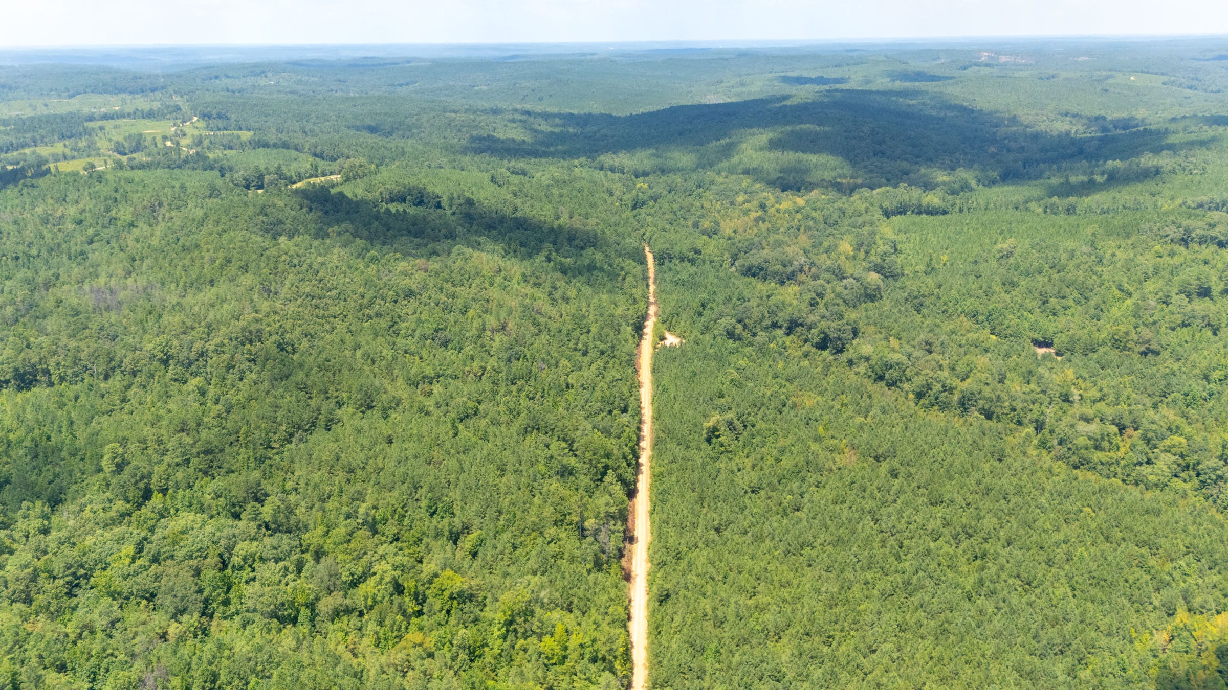 Olive Hill Tract 6 photo 2