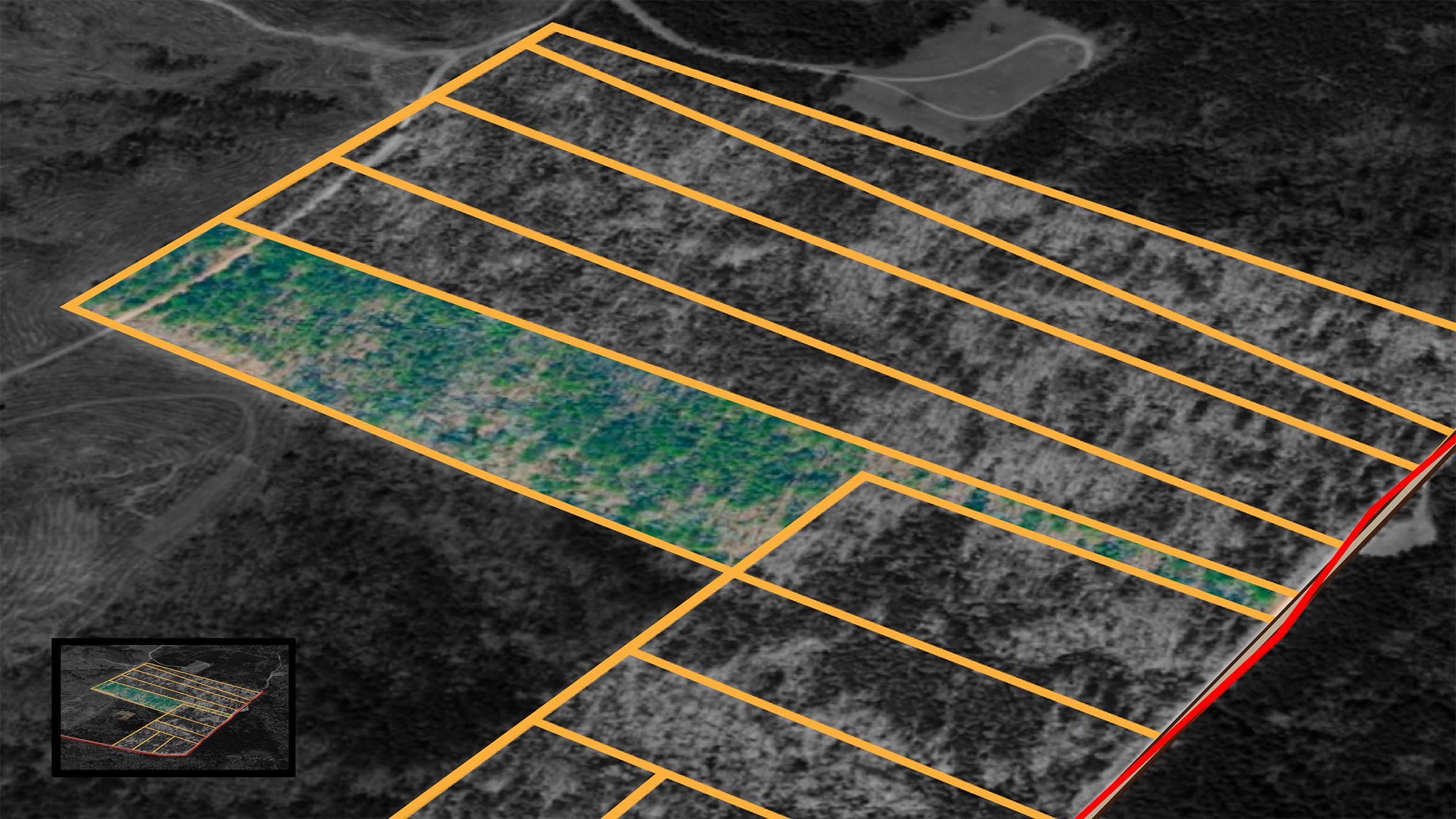 Olive Hill Tract 7 photo 1