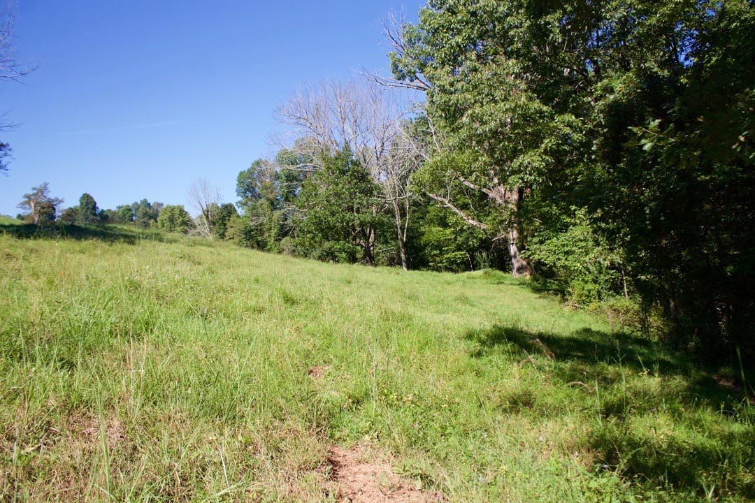 Heritage Hollow Tract 9 photo 2