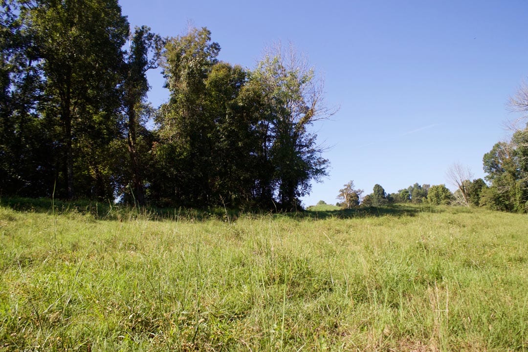 Heritage Hollow Tract 9 photo 3