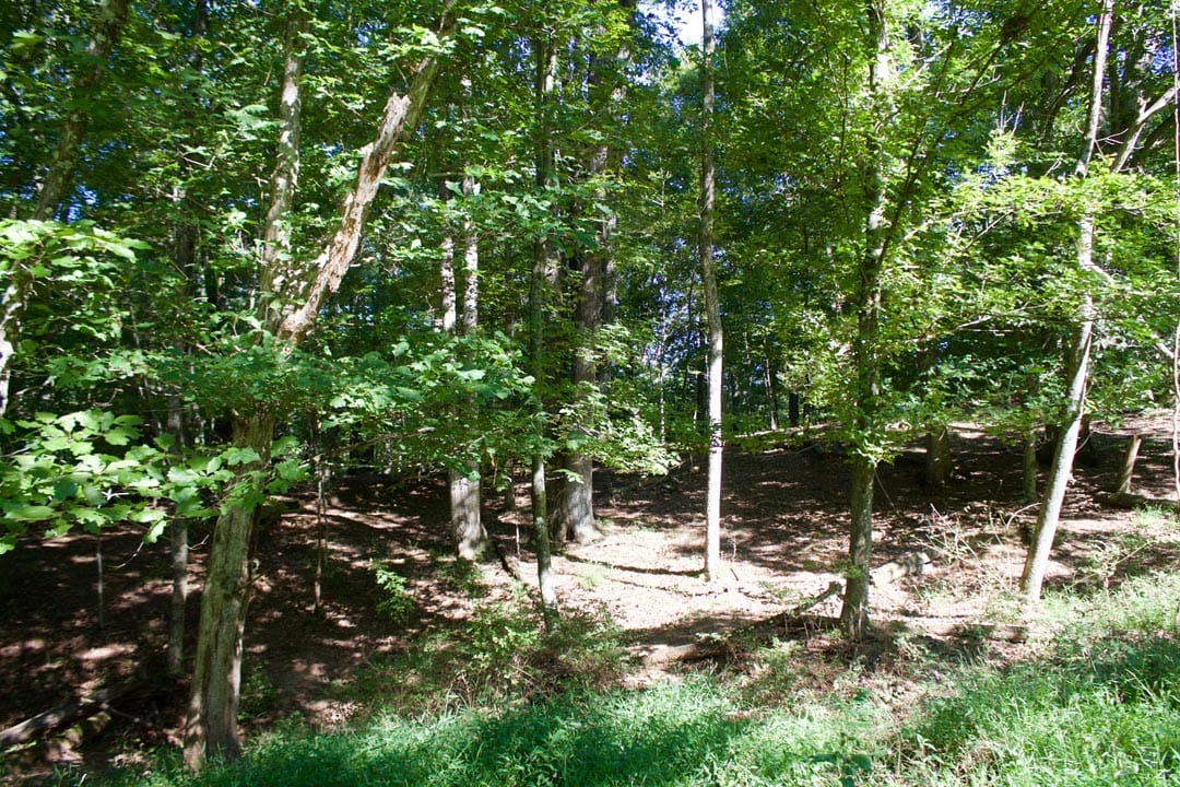 Heritage Hollow Tract 9 photo 4