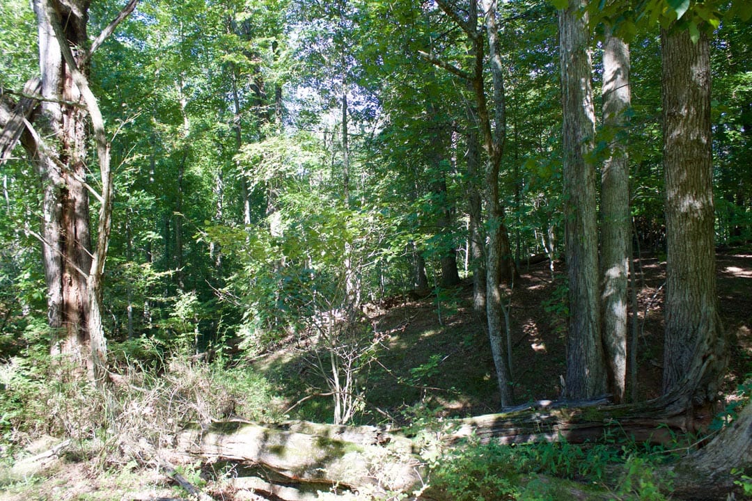 Heritage Hollow Tract 9 photo 5