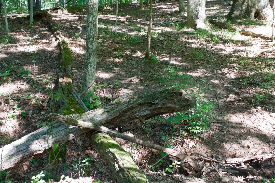 Heritage Hollow Tract 9 photo 6