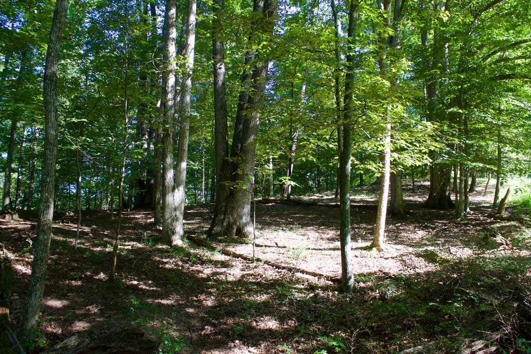 Heritage Hollow Tract 9 photo 7