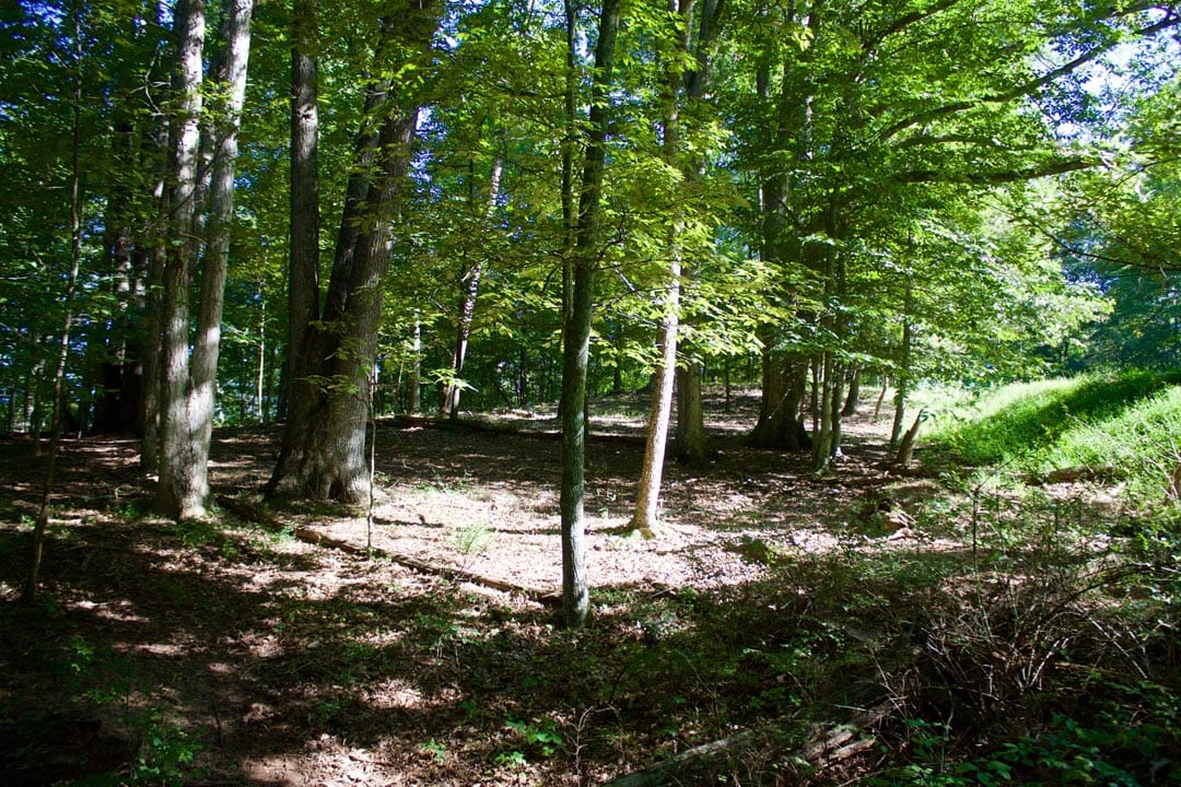 Heritage Hollow Tract 9 photo 8