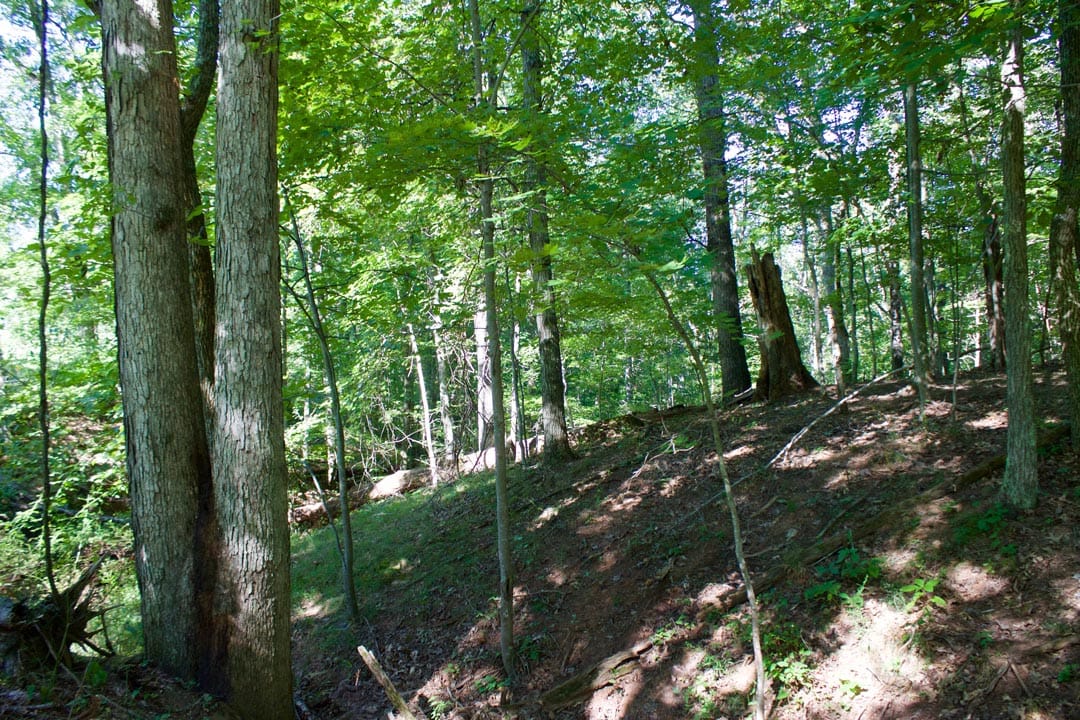 Heritage Hollow Tract 9 photo 9