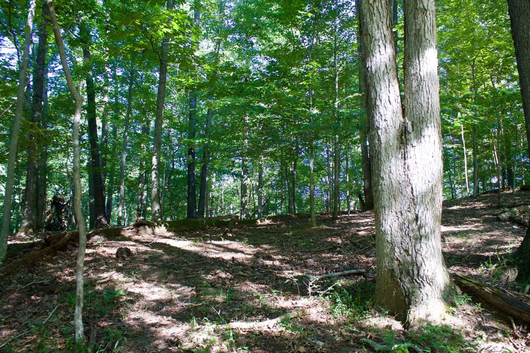 Heritage Hollow Tract 9 photo 10