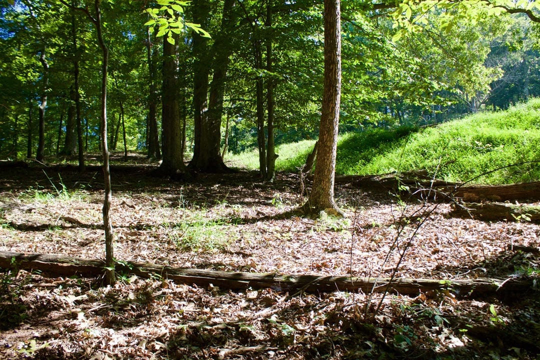 Heritage Hollow Tract 9 photo 11