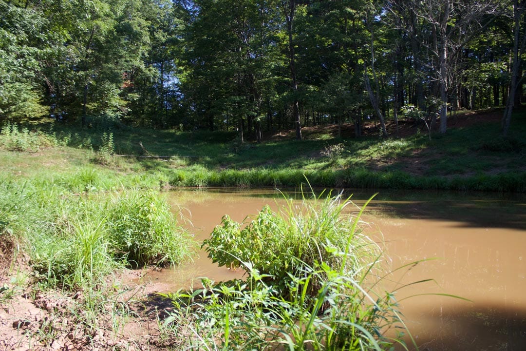 Heritage Hollow Tract 9 photo 12