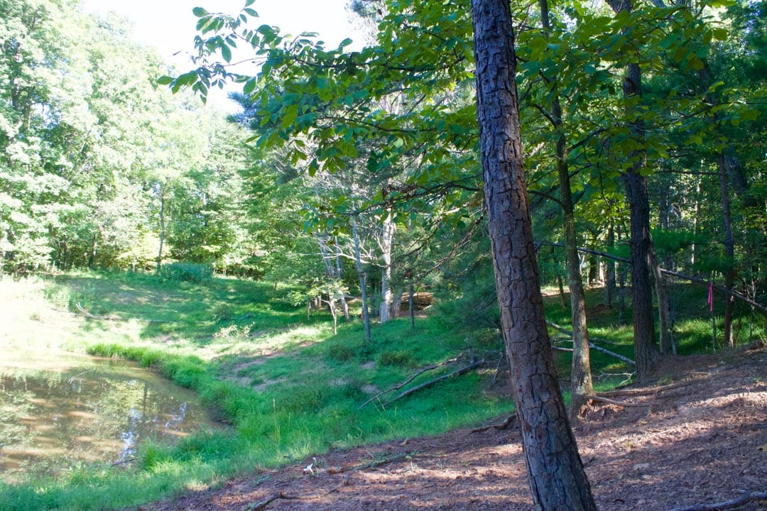 Heritage Hollow Tract 9 photo 15