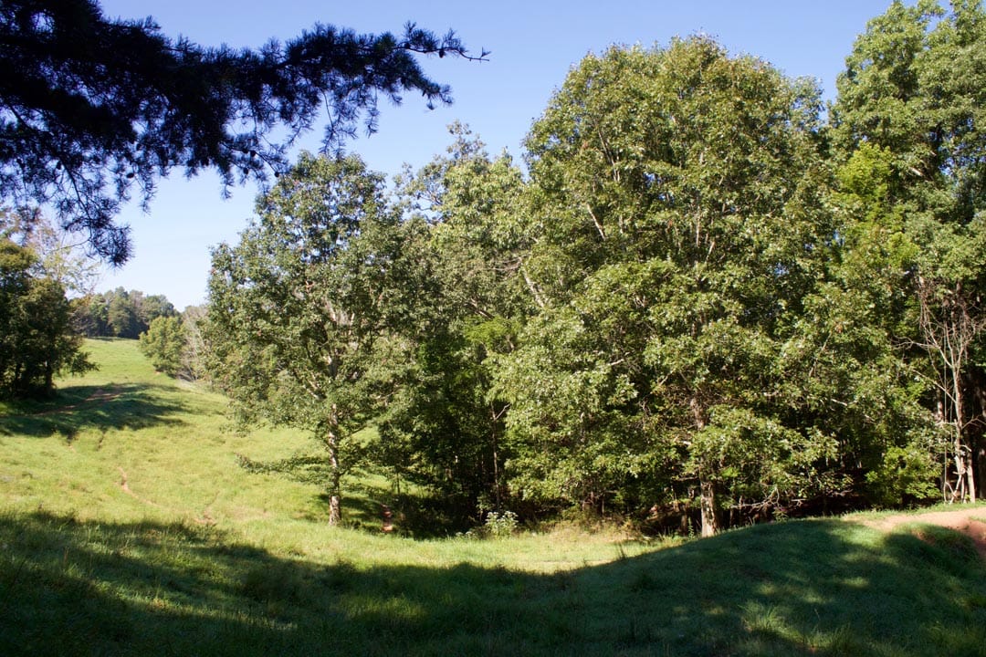 Heritage Hollow Tract 9 photo 17