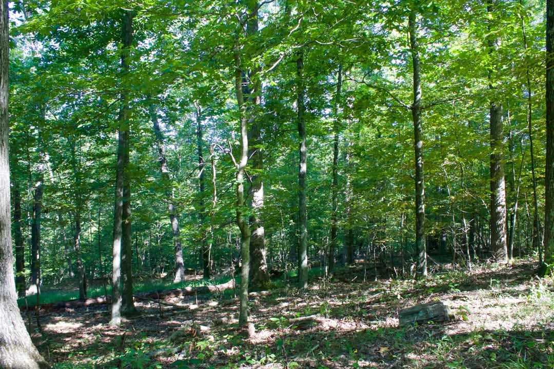 Heritage Hollow Tract 9 photo 18