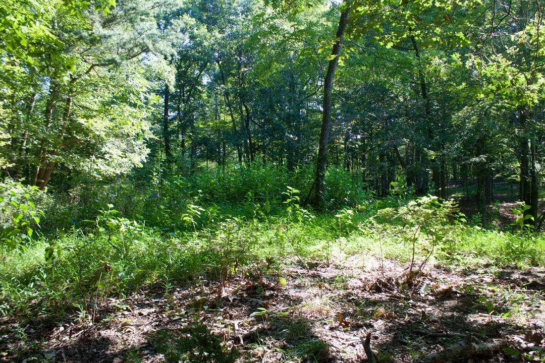 Heritage Hollow Tract 9 photo 19